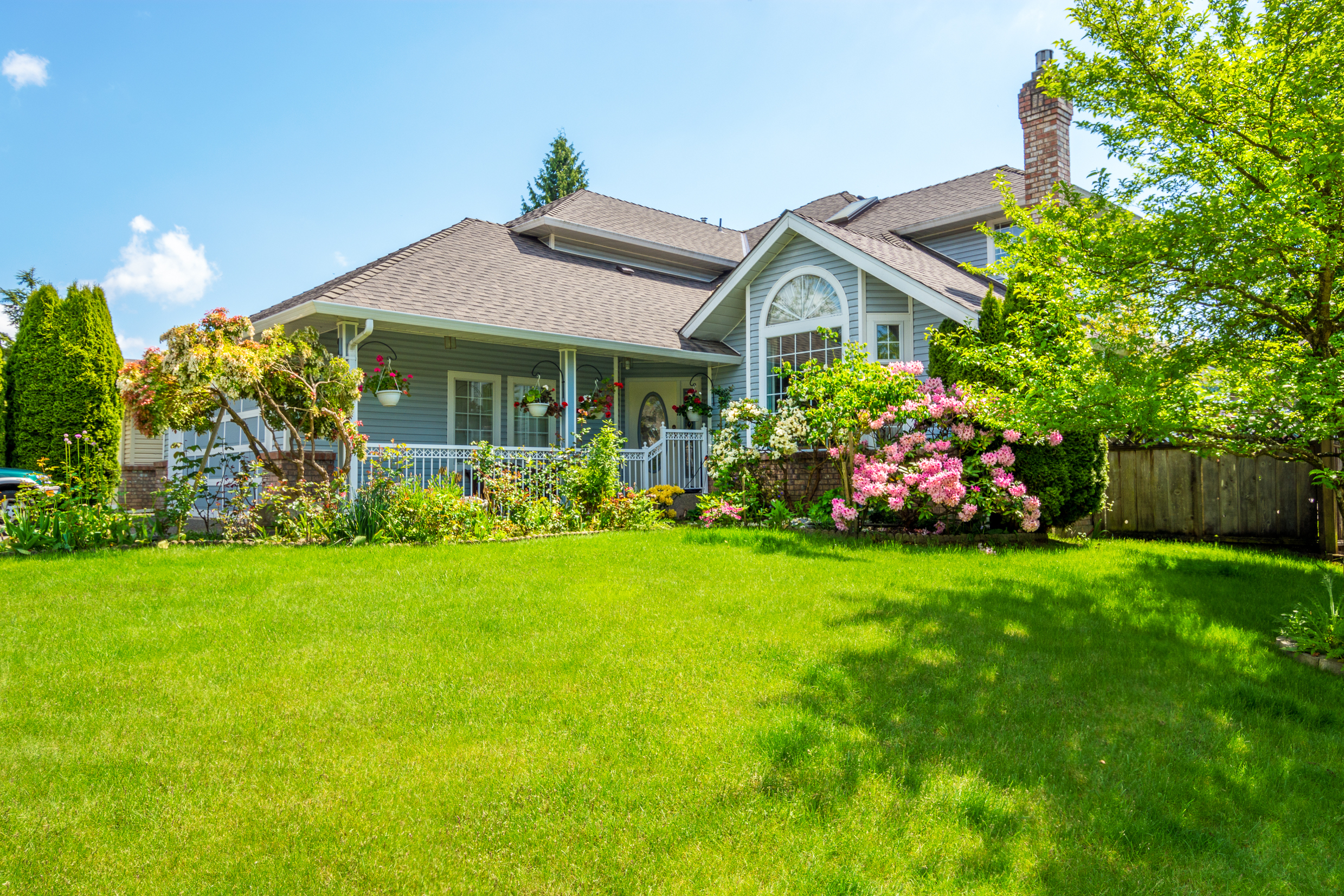 a house with a green lawn and blooming azaleas in spring season.