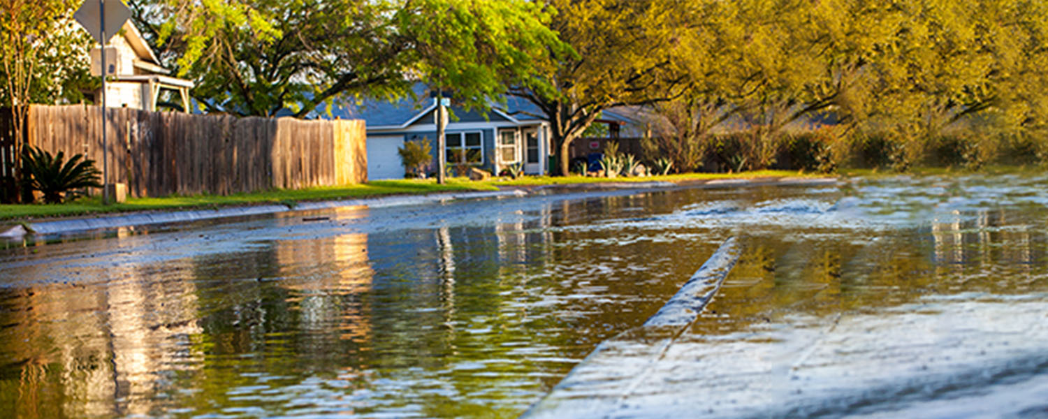 NAU-banner-flood