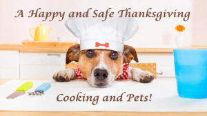 A Happy and Safe Thanksgiving: Cooking and Pets